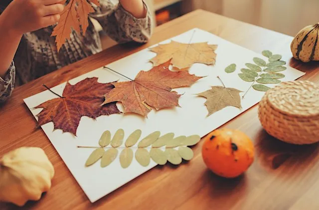 Family Woodland Discovery Sessions
