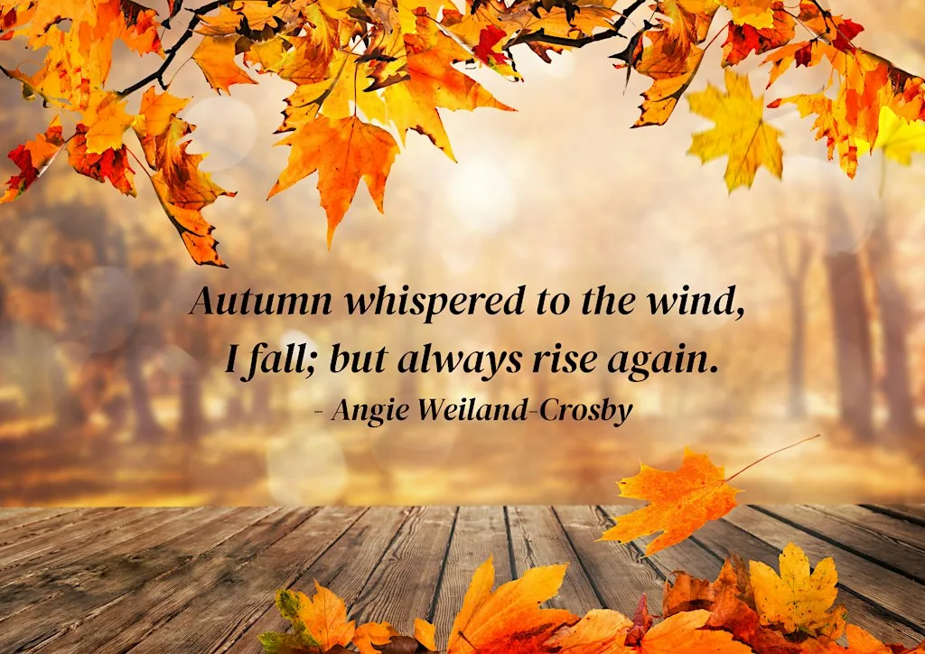Autumn Unfolding Mindfulness and Meditation Retreat in Cork City at Scala Retreat and Conference Centre