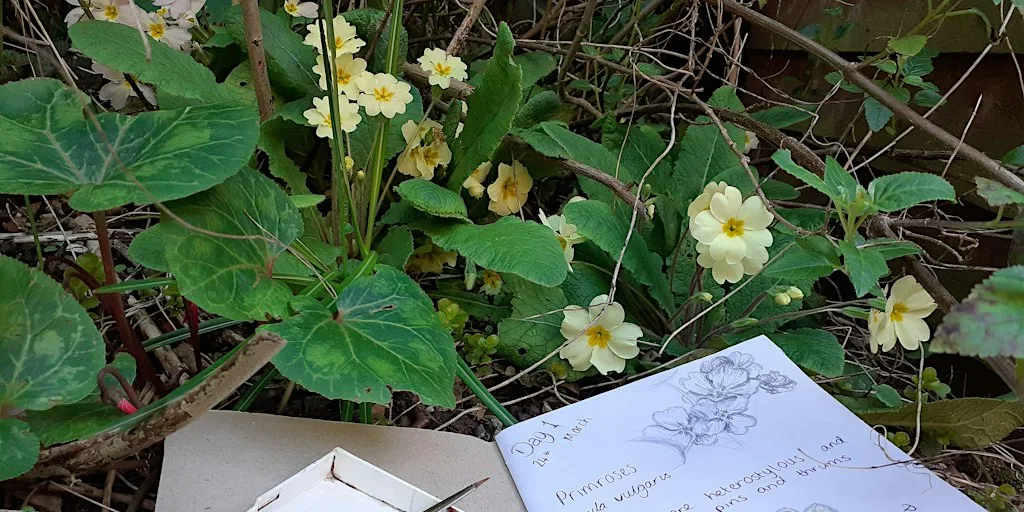Hanningfield Nature Journaling and Phenology: Autumn Edition at Thameside Nature Discovery Park