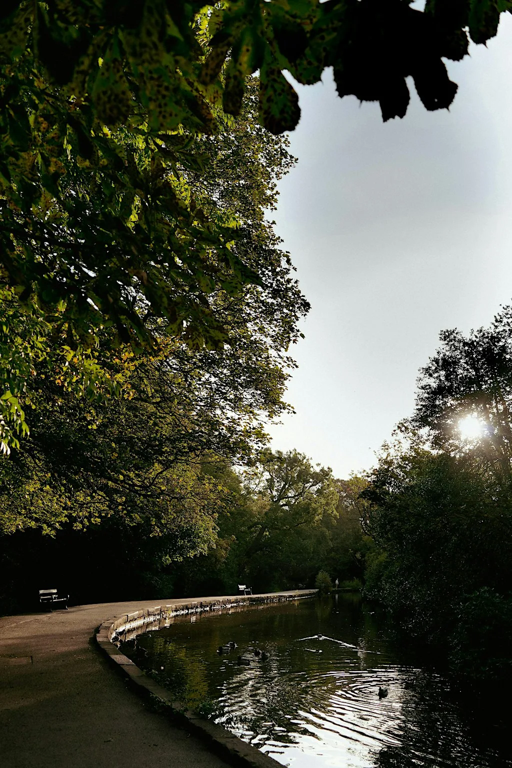 Out of Office - Sheffield Netwalking at Endcliffe Park