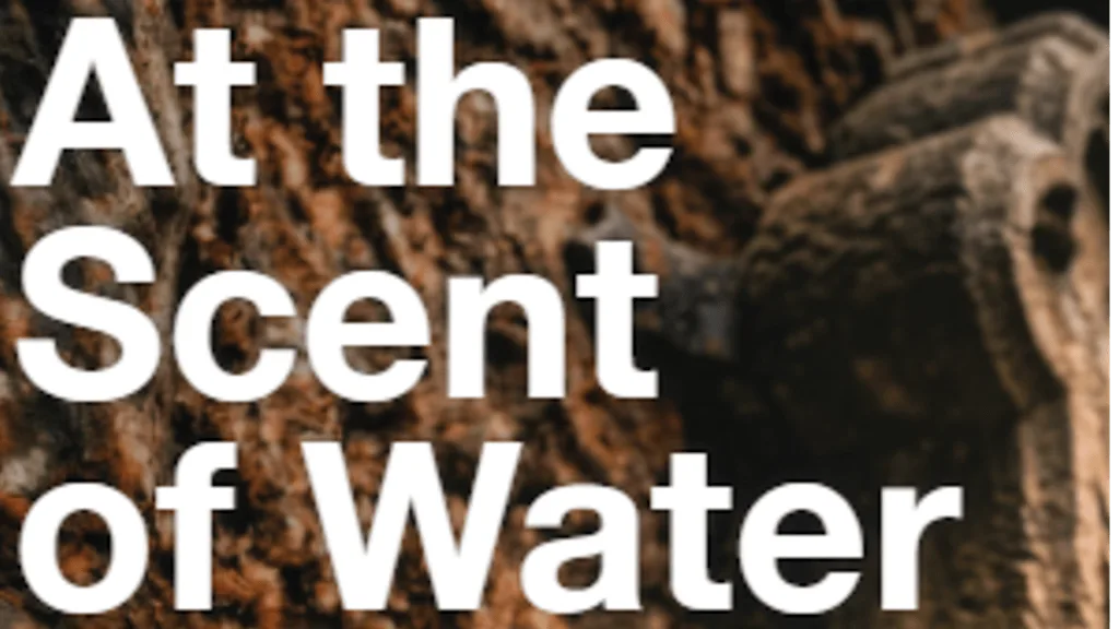 Book launch for Rev Dr Ash Barker's 'At The Scent of Water' at Windsor Olympus Academy