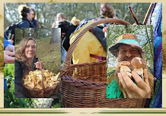 Mushroom Forage Double Fantastic at Middlewood Trust!