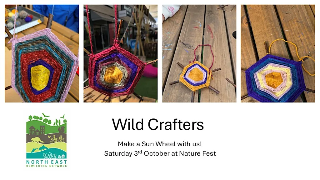 Wild Crafters Workshop 1 - Make a Willow Sun Wheel at Culture House