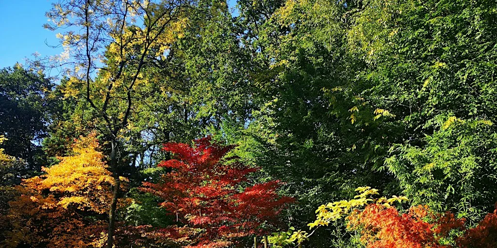 Guided Walk (Supporter's Only): Queenswood, South Wood and Burghope Quarry