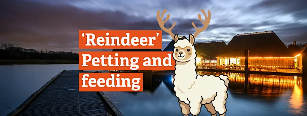 'Reindeer' Petting and Feeding at Brockholes Nature Reserve