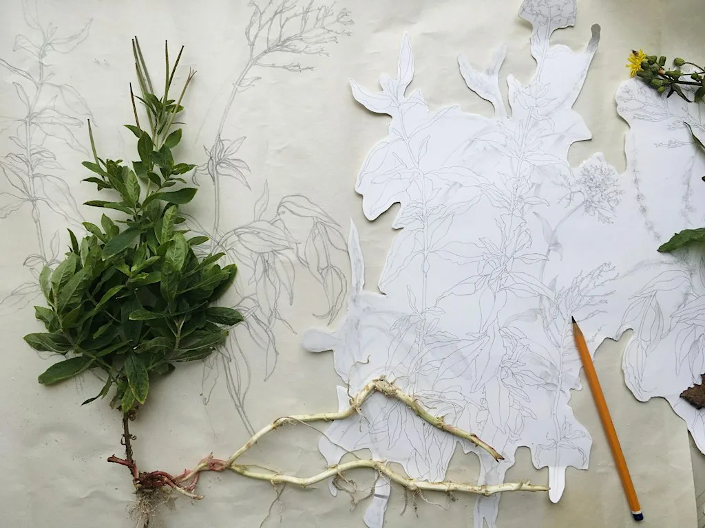 Adult Drawing Workshop: Growing lines at Project Room, Level 3 (beside Gallery) : dlr LexIcon Gallery