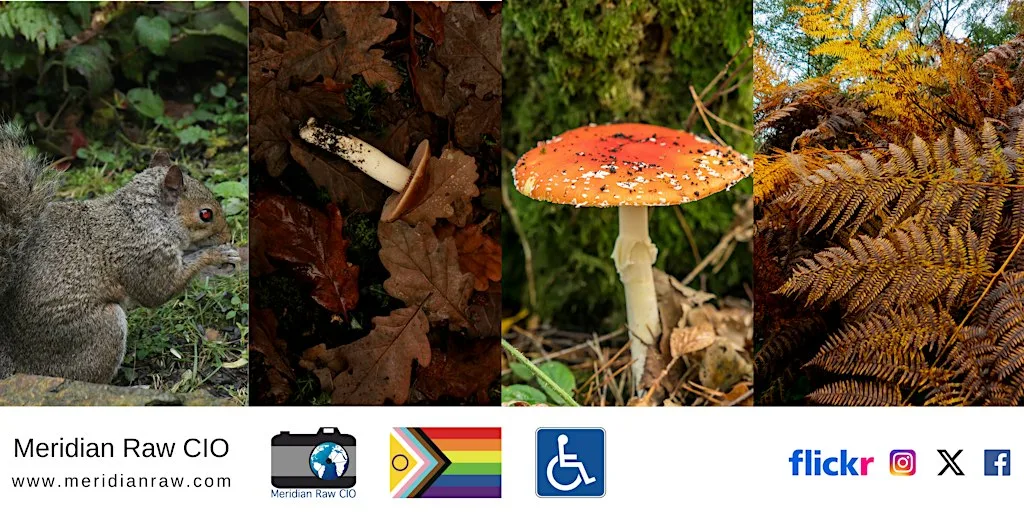Walking with Cameras around Yarner Wood at Yarner Wood