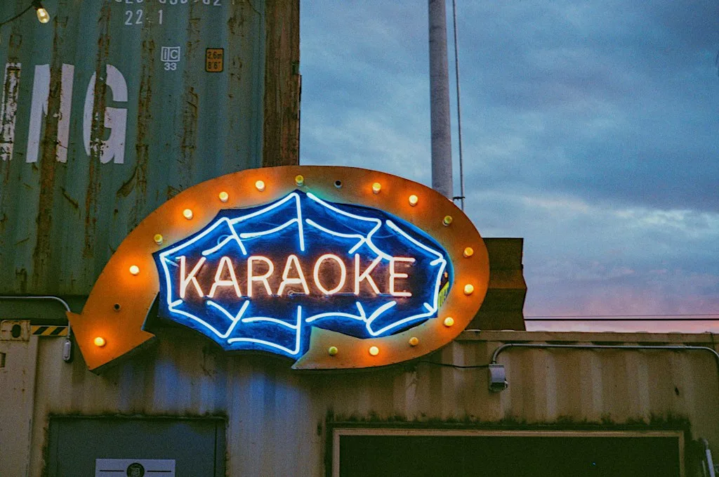 YSI Conference Karaoke at 491 Union St