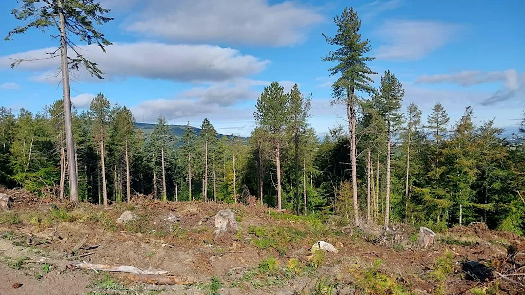 Dublin Mountains Festival: Discover the Dublin Mountains Makeover