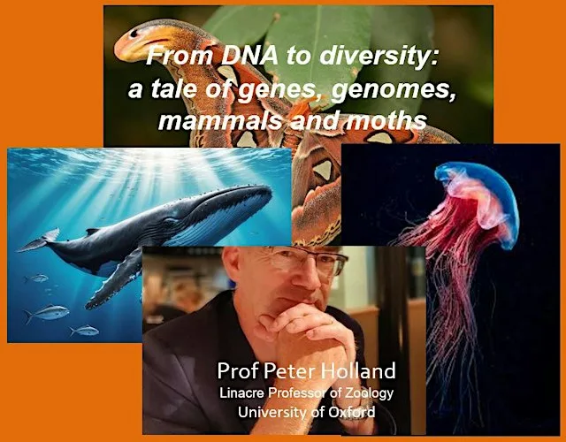 Jack Pridham Memorial Lecture