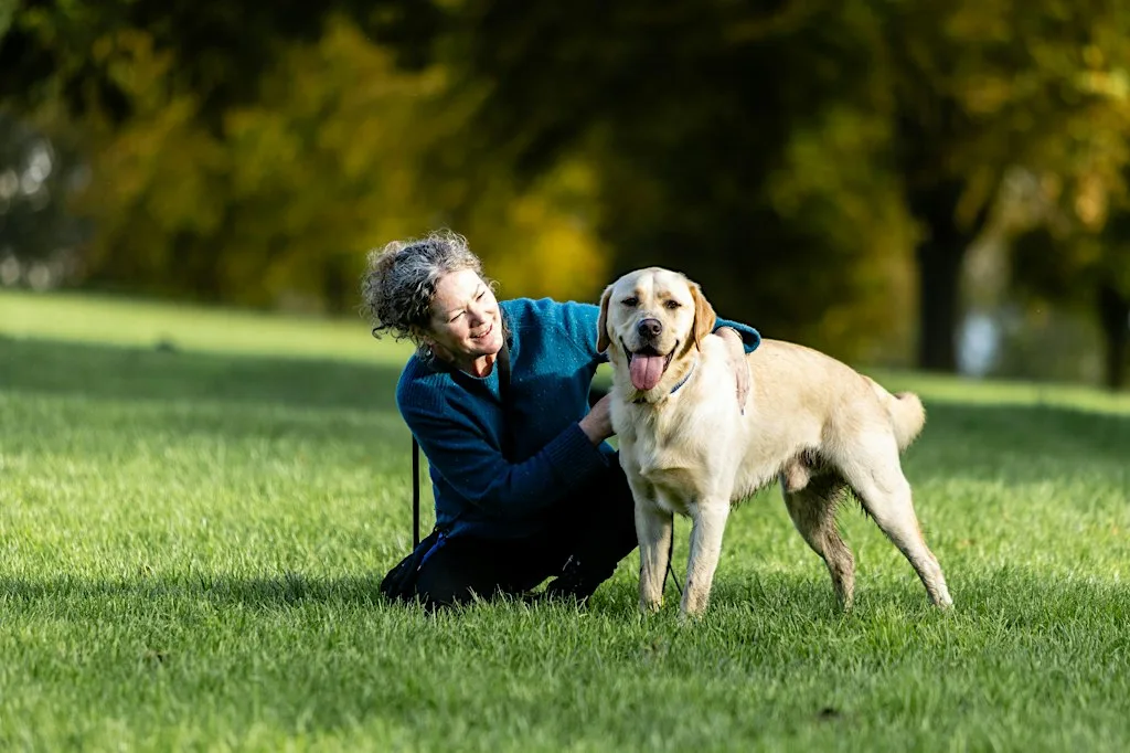 Love Dogs? Discover How You Can Make a Difference!
