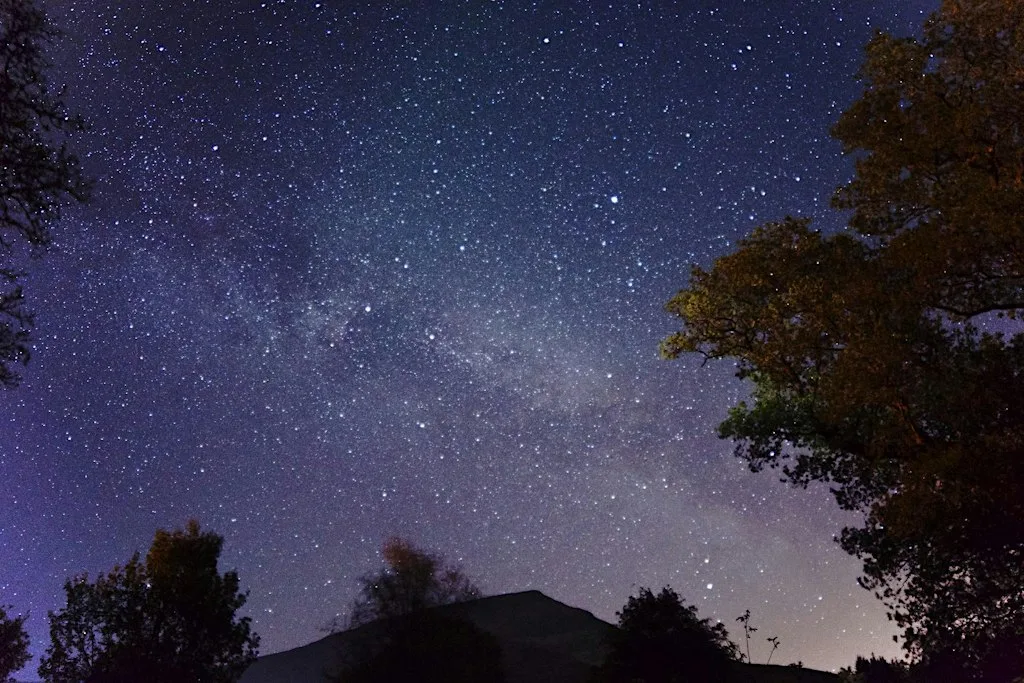 Novemeber Stargazing at Abriachan Forest