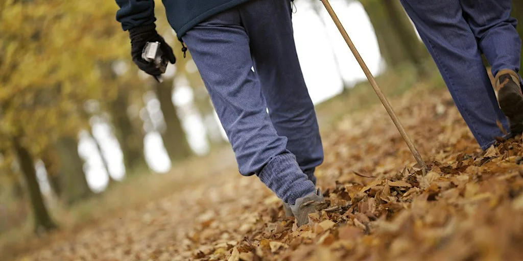 Signs of Autumn at Brockholes - Guided Walk at Brockholes Nature Reserve