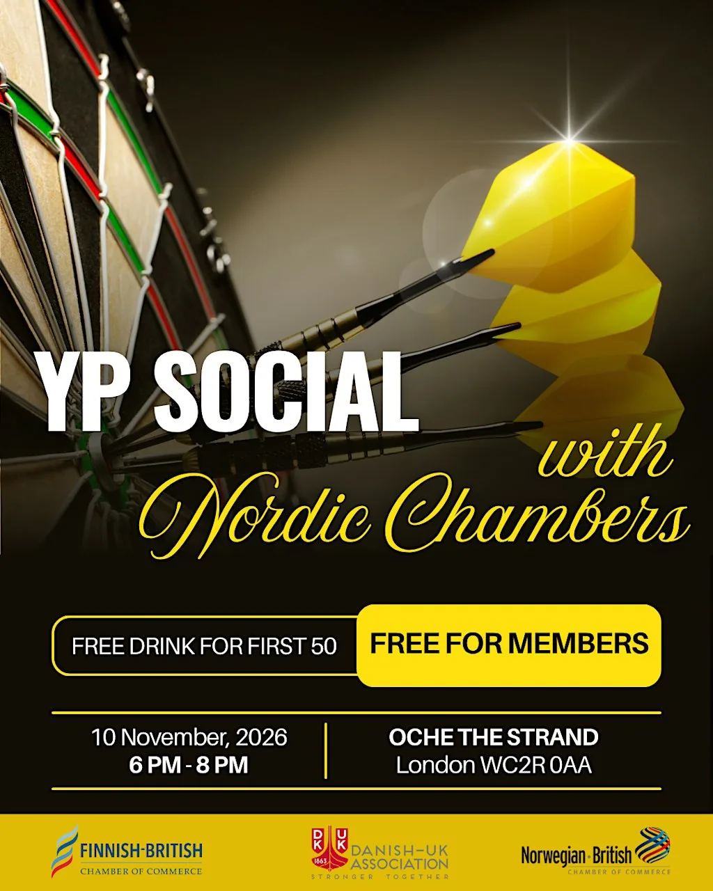 Young Professionals Drinks, Darts & Networking at Oche