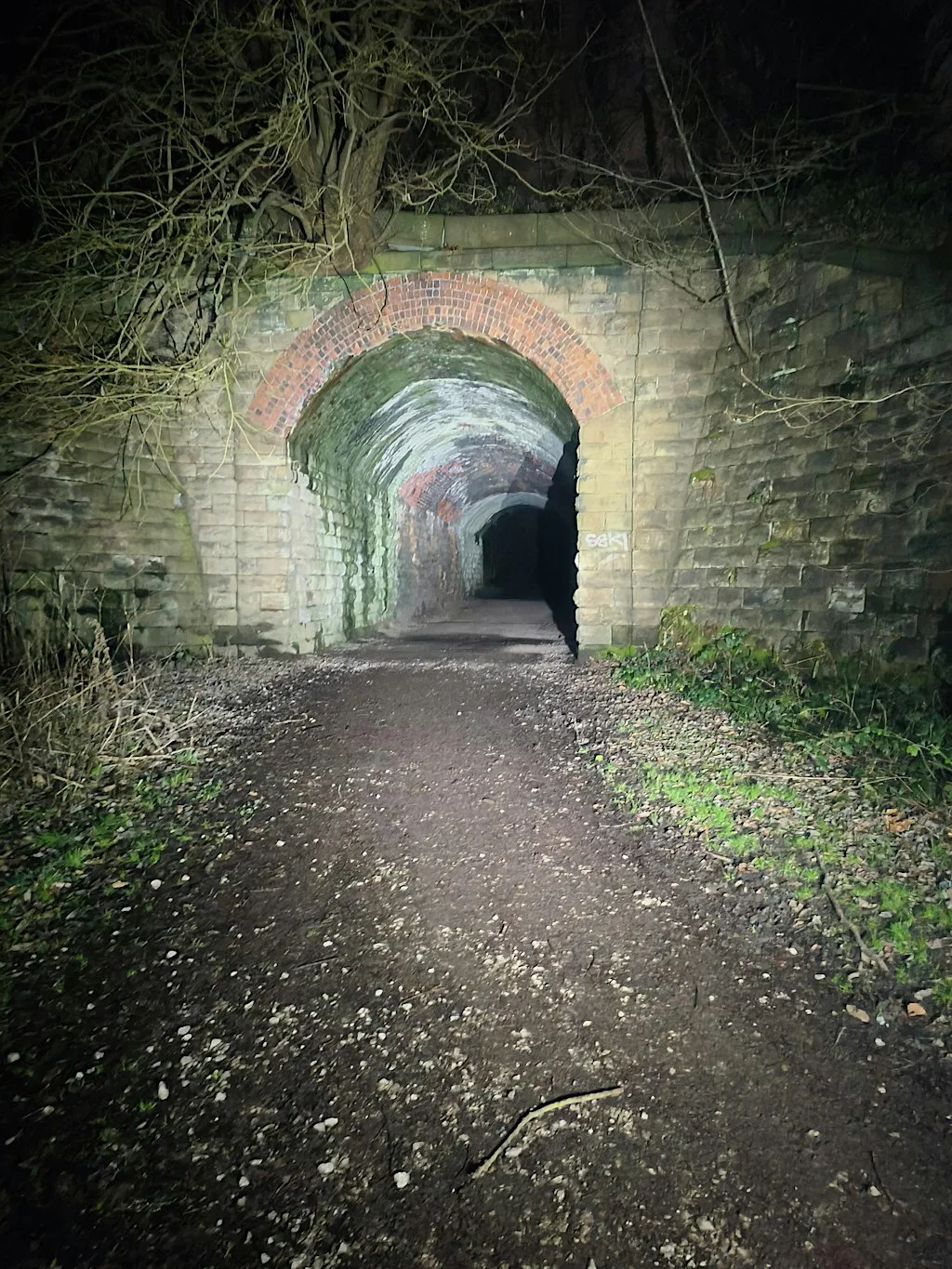 Hurst Wood/The Outwood Trail by night with Coddiwomple Walks.