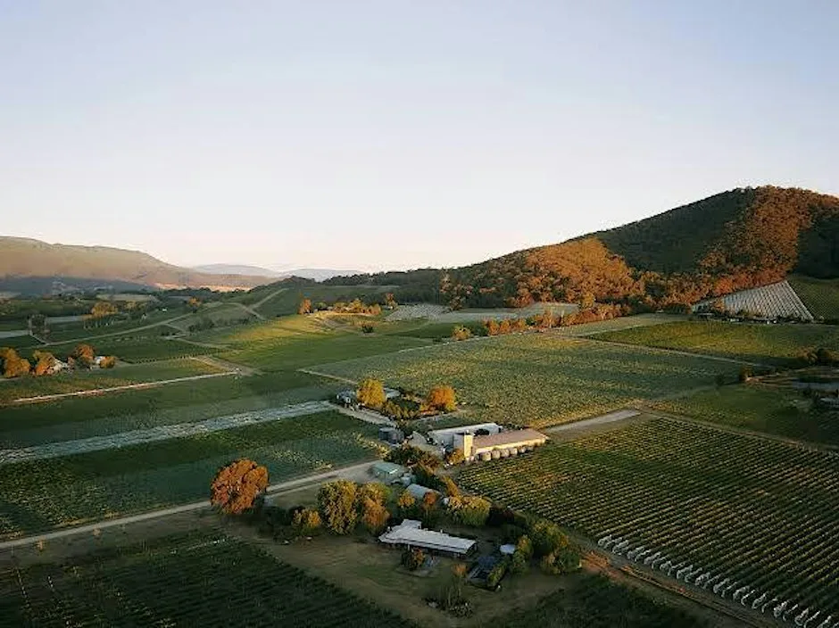 An Evening with Yarra Yering at Jeroboams King's Road