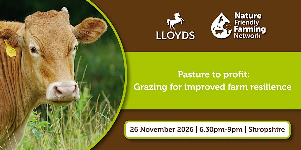 Pasture to profit: Grazing for improved farm resilience