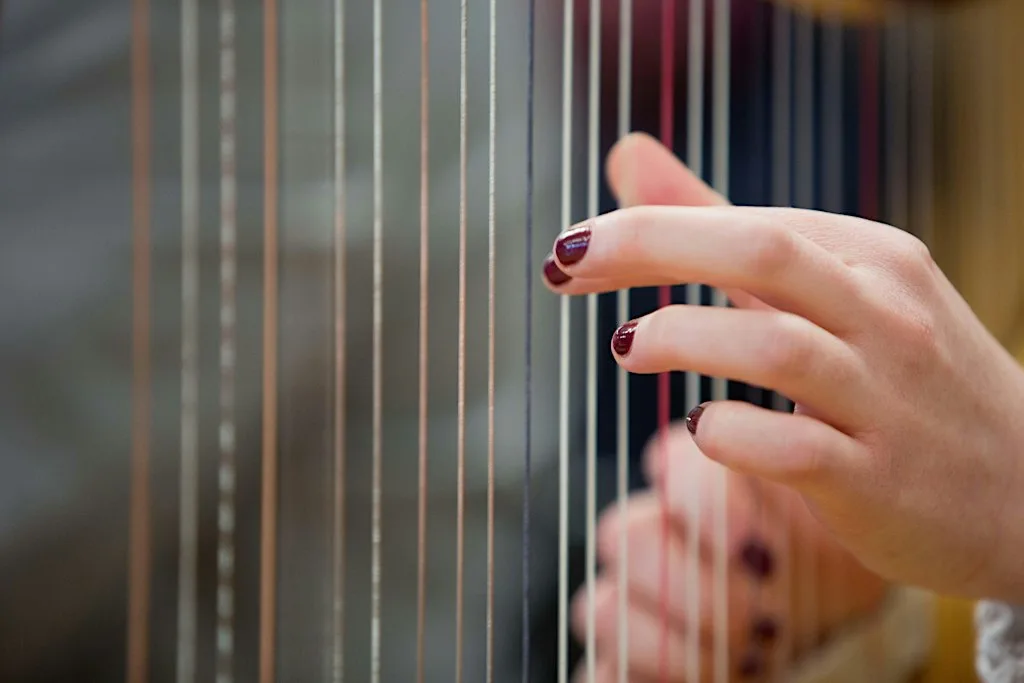 Ceiliúradh | Celebrating Harps Gala Concert 2026
