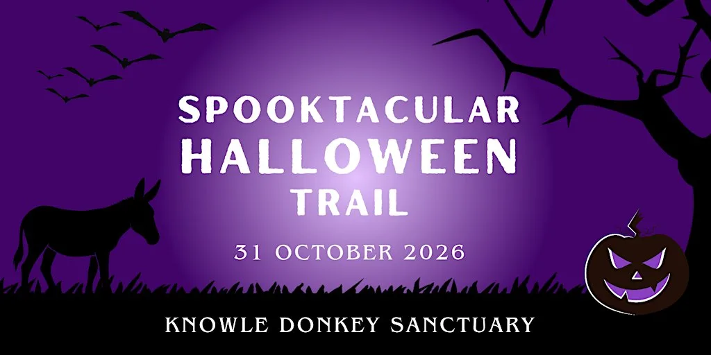 Halloween Pumpkin Trail at Knowle Donkey Sanctuary