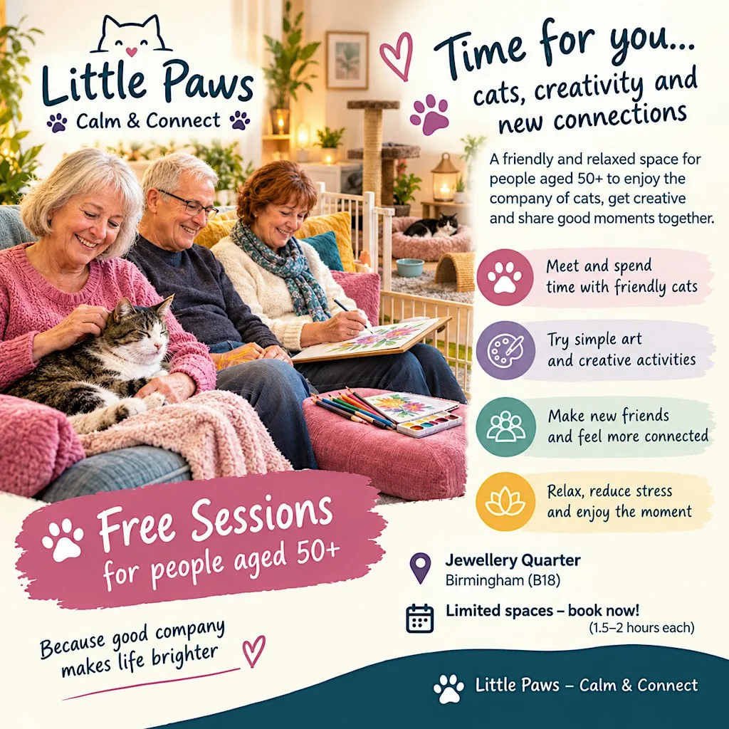 Free Cat and Creative Wellbeing Session for people aged 50+