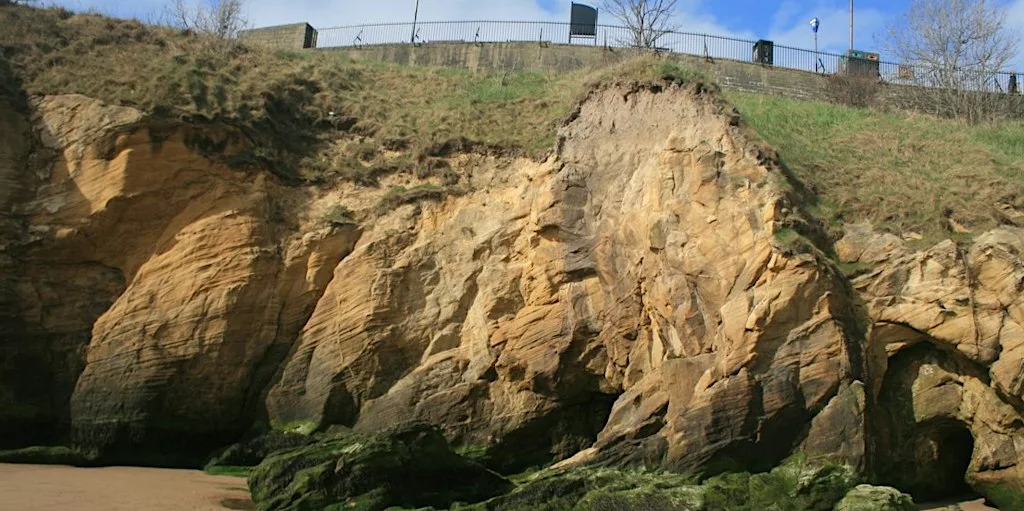 Geology at Cullercoats