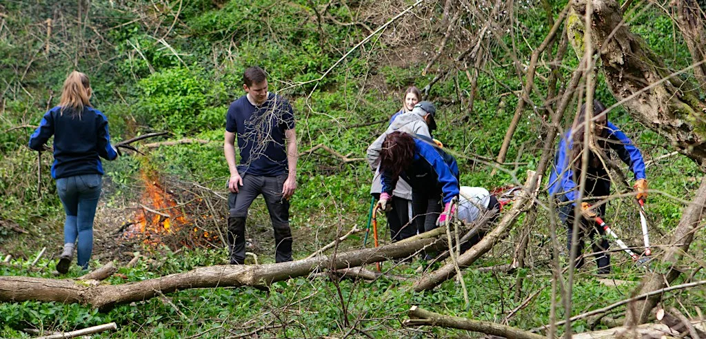 Gomm's Wood Scrub Bash & Burn