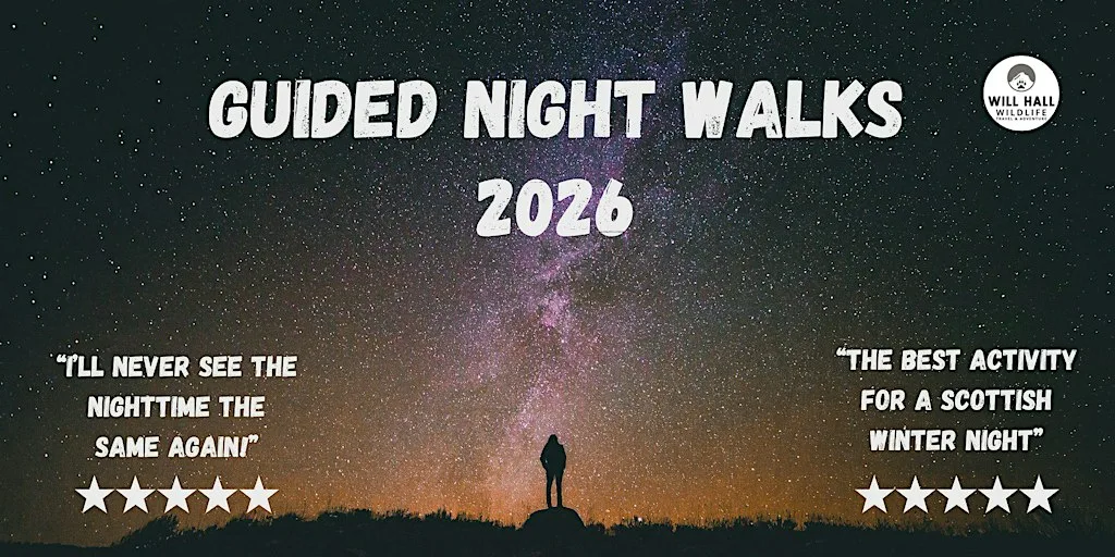 Guided Night Walks 2026: Inverness at Craig Phadrig Car Park