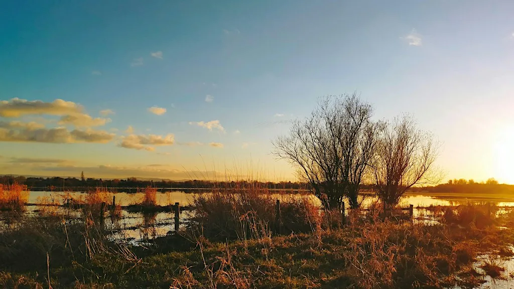 Wetlands Wildlife Walk at Coombe Hill Nature Reserve
