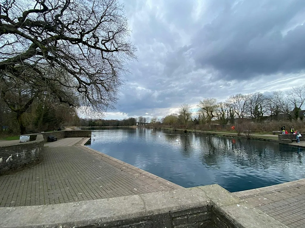 Winter Wildlife and Wellbeing Walk at The Boat House Cafe