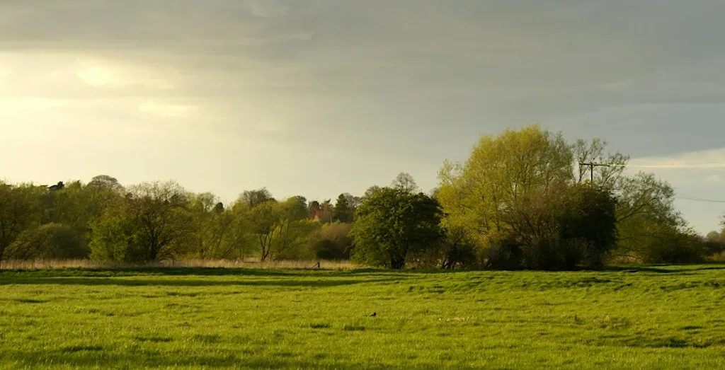 Local Nature Recovery Strategy and Ecosystem Nature Relationships - Talk at Kingsthorpe Library