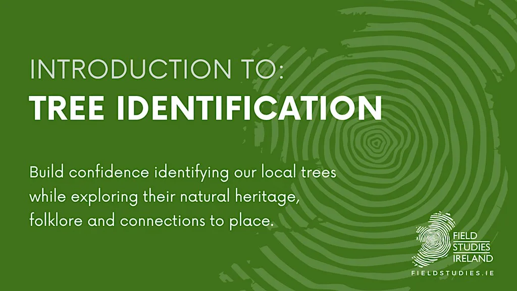 Intro: Tree Identification at Gleniff Horseshoe, Sligo
