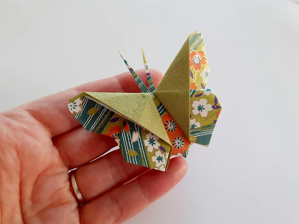 Origami - the art of paper folding at Shrewsbury Library