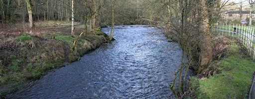Upper Tame RiverBltiz