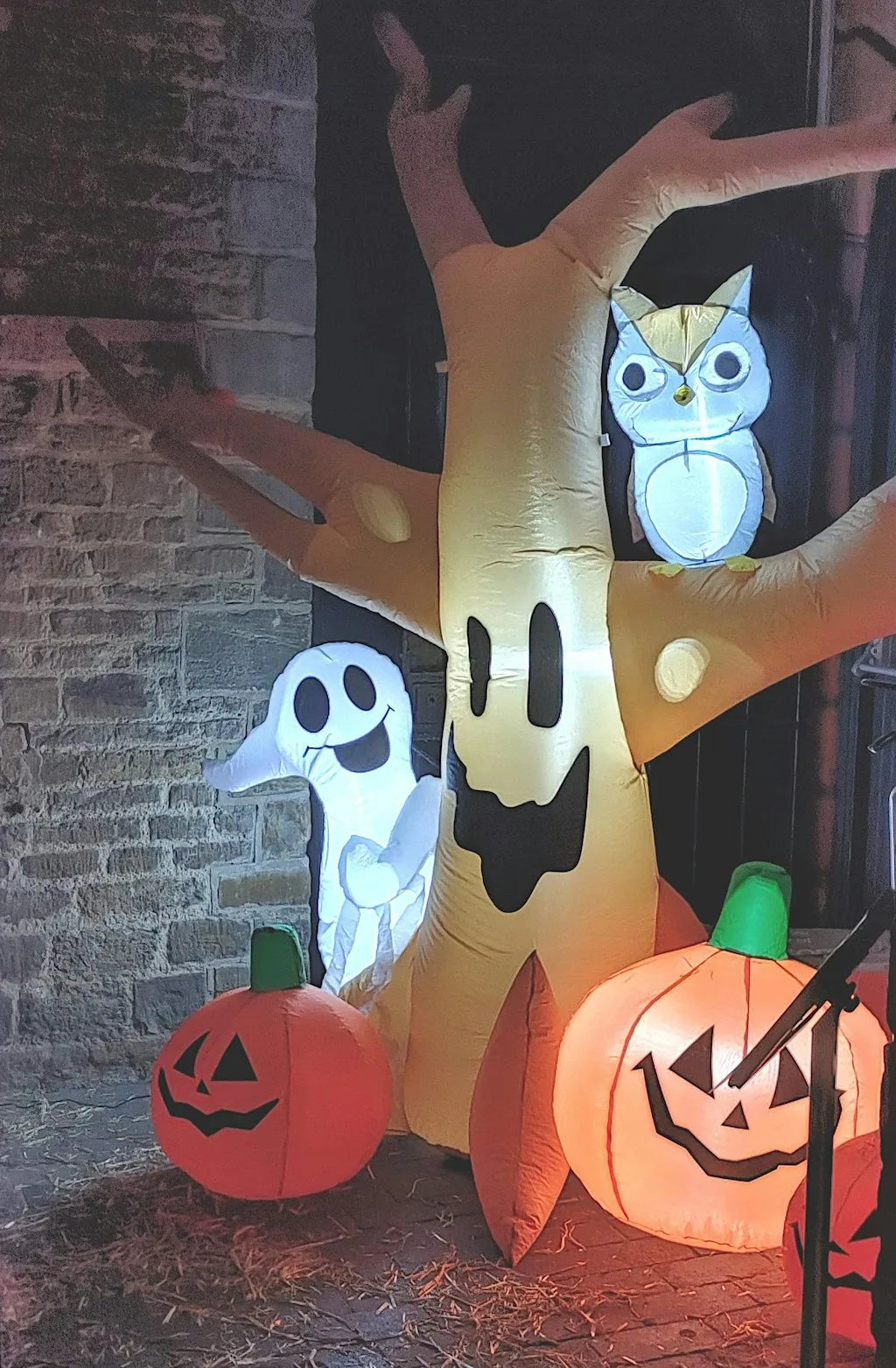 Spooky Halloween Makes at Abington Park Museum