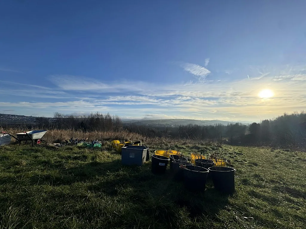 Citizen Forester Tree Planting and Maintenance at Ridgmont Park, Bolton at Ridgmont Park