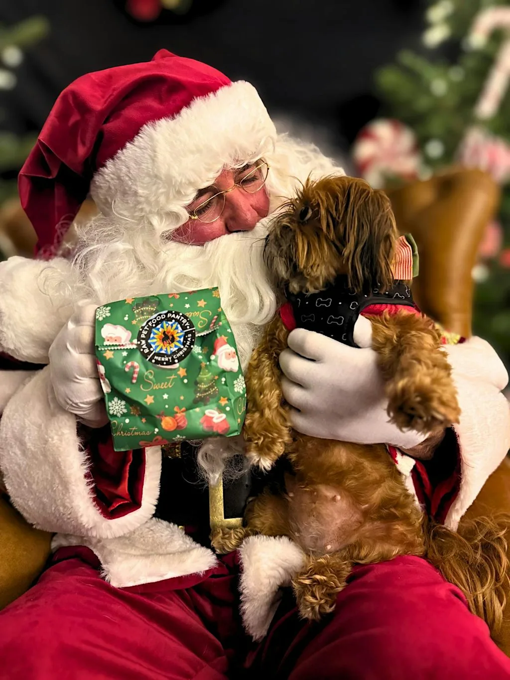 SANTA PAWS GROTTO