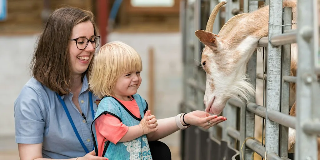 Odds Farm Day Nursery Open Day - Saturday 1st August 7th November at Odds Farm Day Nursery & Pre-School
