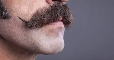Movember Table Quiz