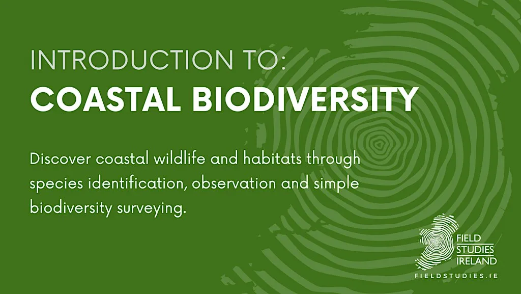 Intro: Coastal Biodiversity at Crawfordsburn Country Park, County Down