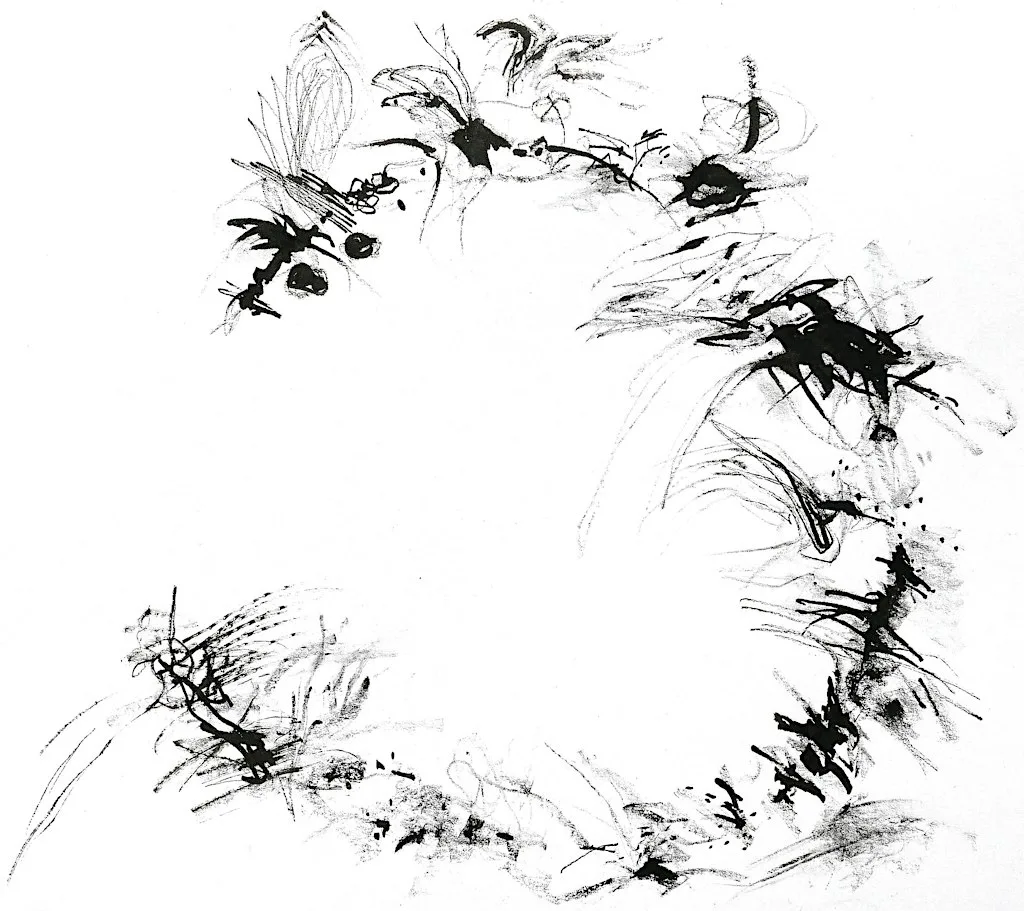 Adult Workshop: Sensing the Plants - Sensory Drawing Session