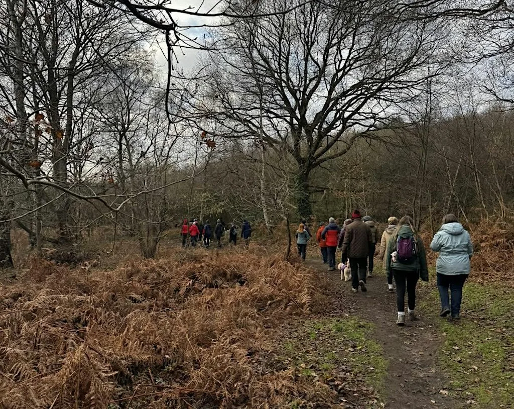 Winter Walk at Sherwood Heath Local Nature Reserve