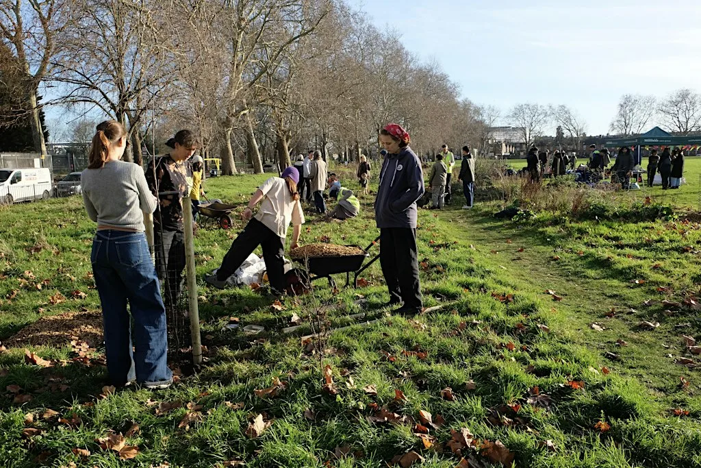 Tree Planting in Millfields Park (south) at Millfields Park (south)