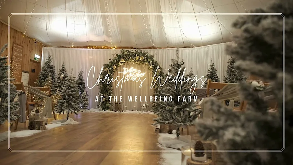 A Very Merry Ever After: Evening Wedding Showcase