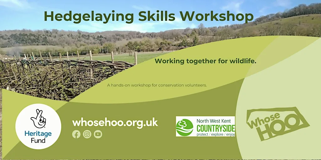 Conservation Skills Workshop - Hedgelaying