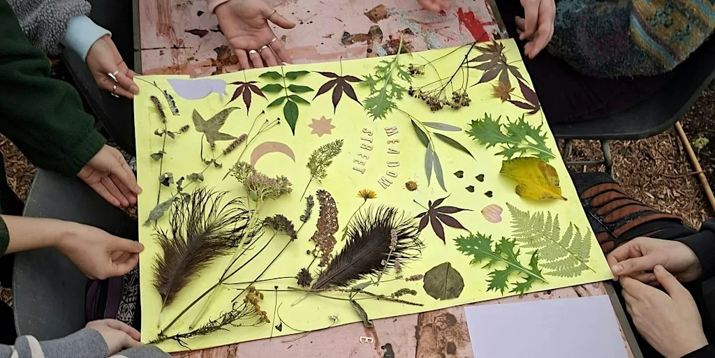 Slow Sundays: art, nature and wellbeing