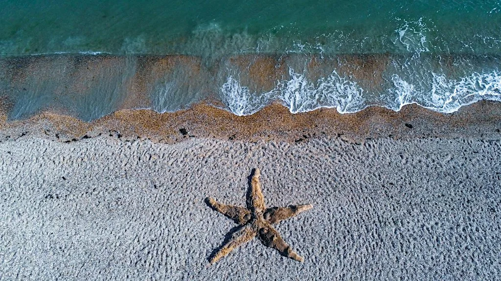 Between Land and Tide