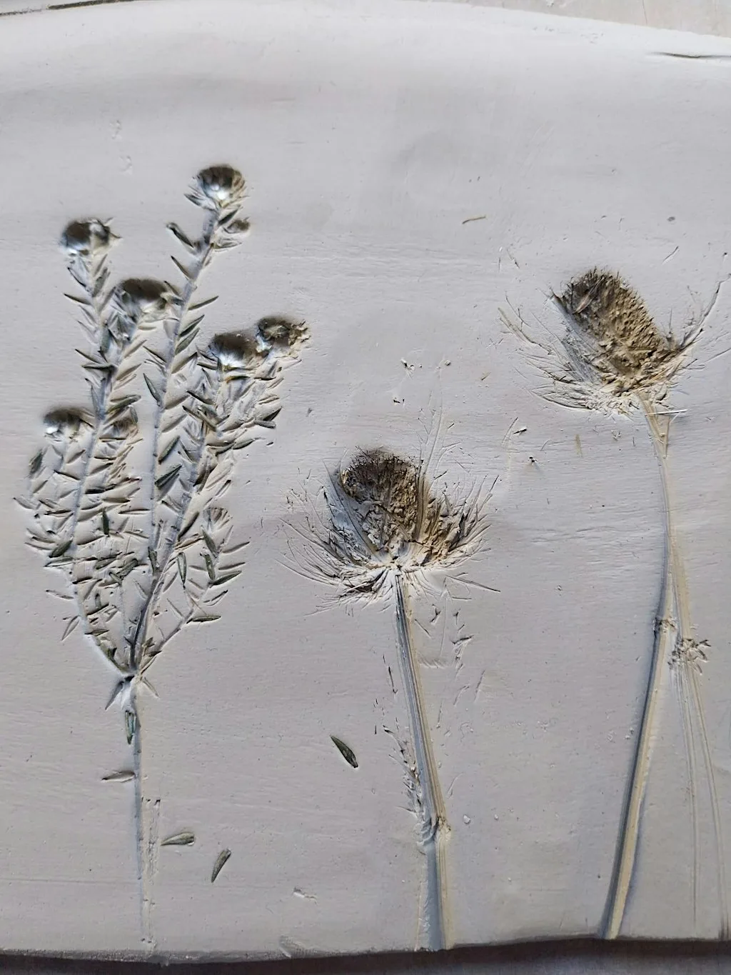Botanical Plaster Casting - Art in Nature Workshop