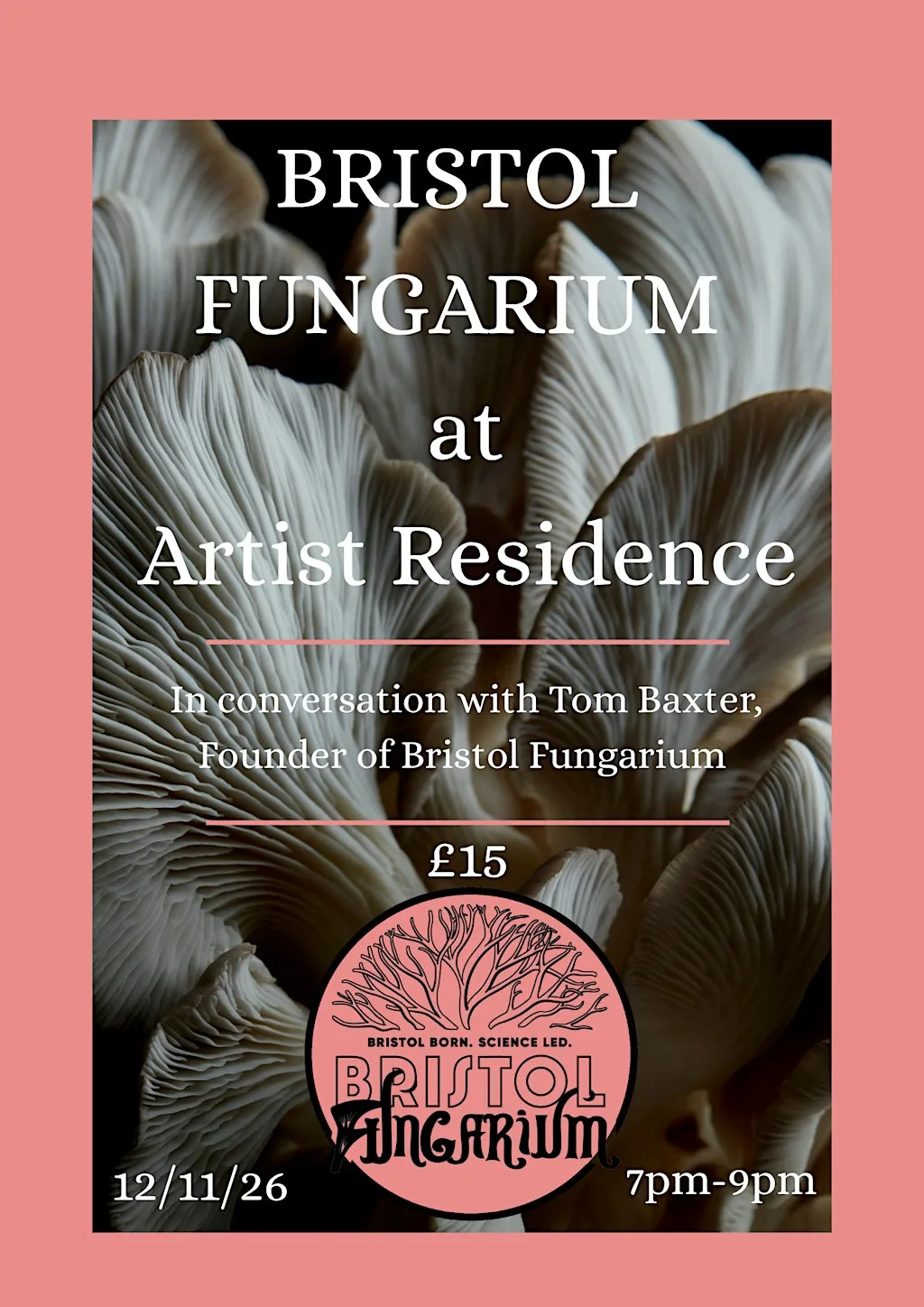 Bristol Fungarium at Artist Residence Bristol