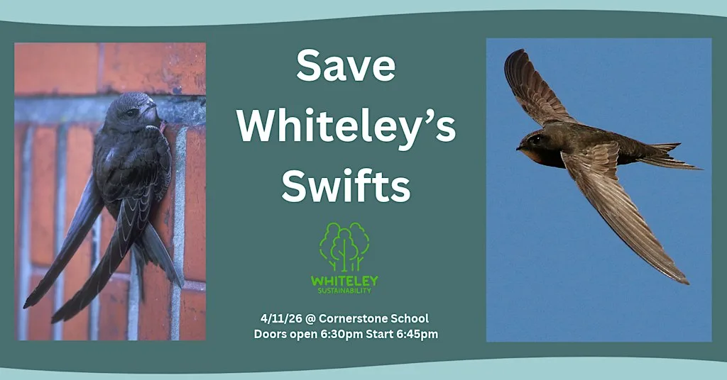 Save Whiteley Swifts - Public Talk Hampshire Swifts at Cornerstone Primary School