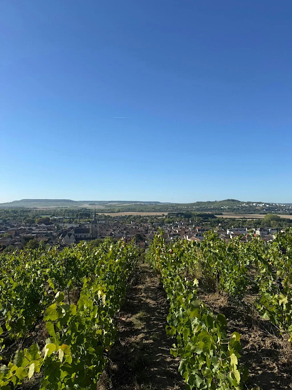 Astral Wines - Deutz Champagne Tasting - Smith & Gertrude - 19 October